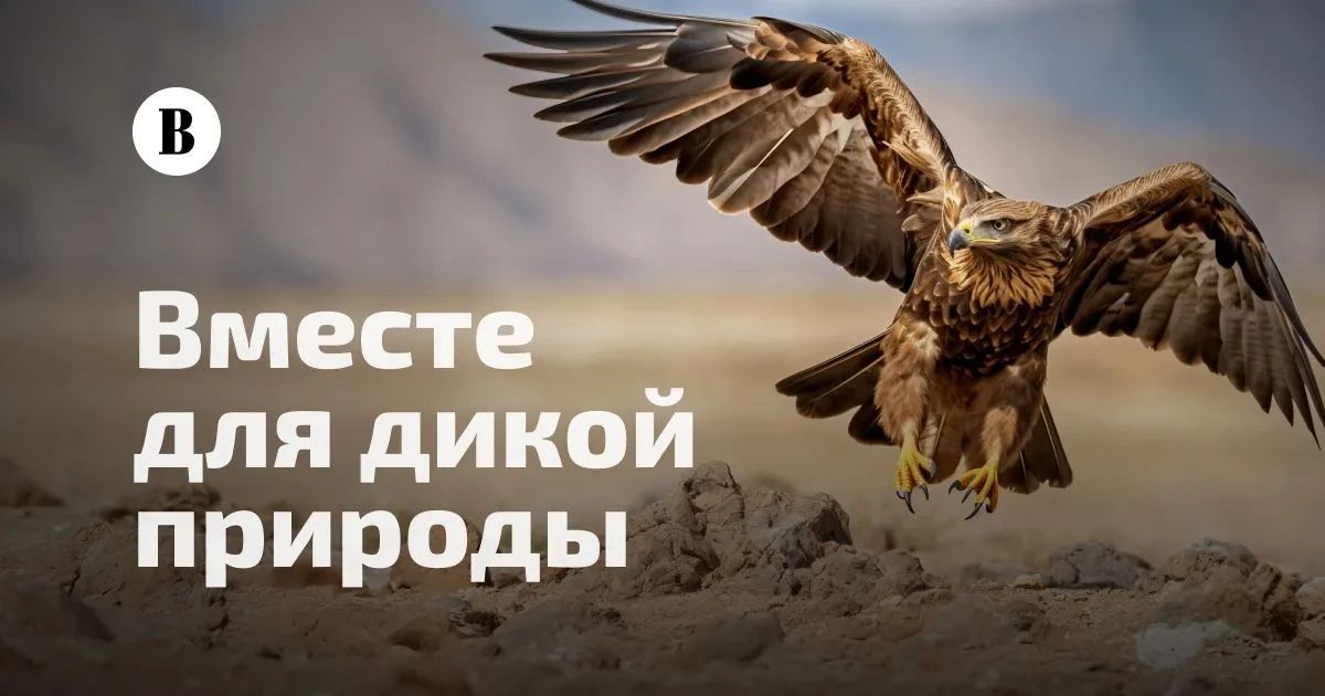 Проект «Вместе для дикой природы»: поддержим защиту исчезающих видов