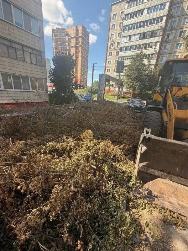 115 контейнерных площадок убрали за неделю в Калуге