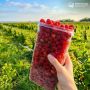 Участник проекта «Сельское лето»: семейный праздник сбора малины