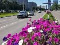90 тысяч цветов высадили в Обнинске этим летом