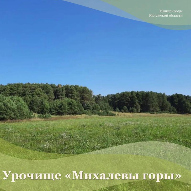 Урочище «Михалевы горы, расположенное на левом берегу реки Протвы у озера-старицы Михалево в Жуковском муниципальном округе, по праву считается одной из природных достопримечательностей региона