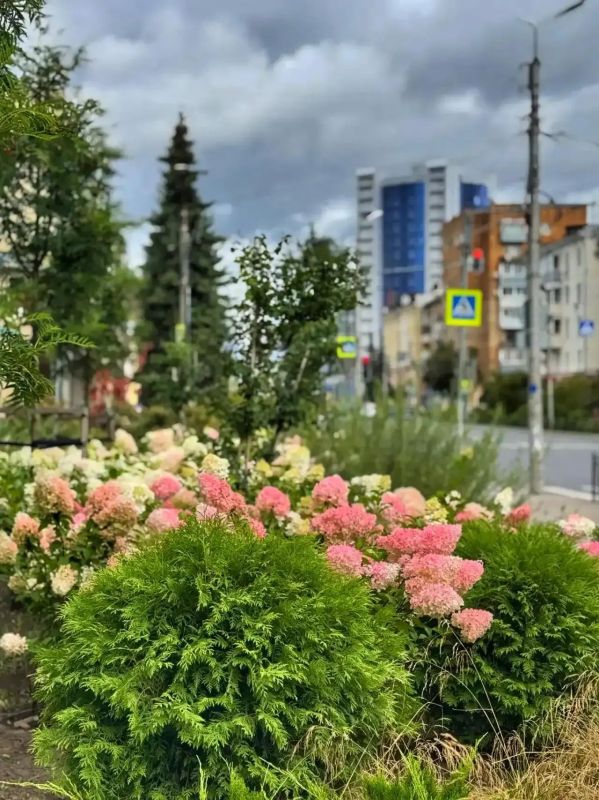 Дмитрий Денисов: Продолжаем украшать Калугу и добавлять любимому городу больше красок Дмитрий Денисов: Продолжаем украшать Калугу и добавлять любимому городу больше красок