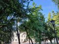В Калужской области немного похолодает, усилится ветер