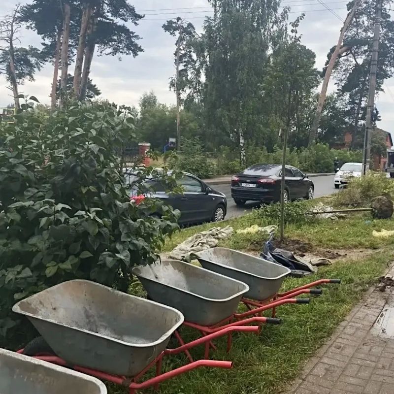Дмитрий Денисов: Добавляем Калуге зелени!. В сквере Волкова обновили живую изгородь Дмитрий Денисов: Добавляем Калуге зелени!. В сквере Волкова обновили живую изгородь