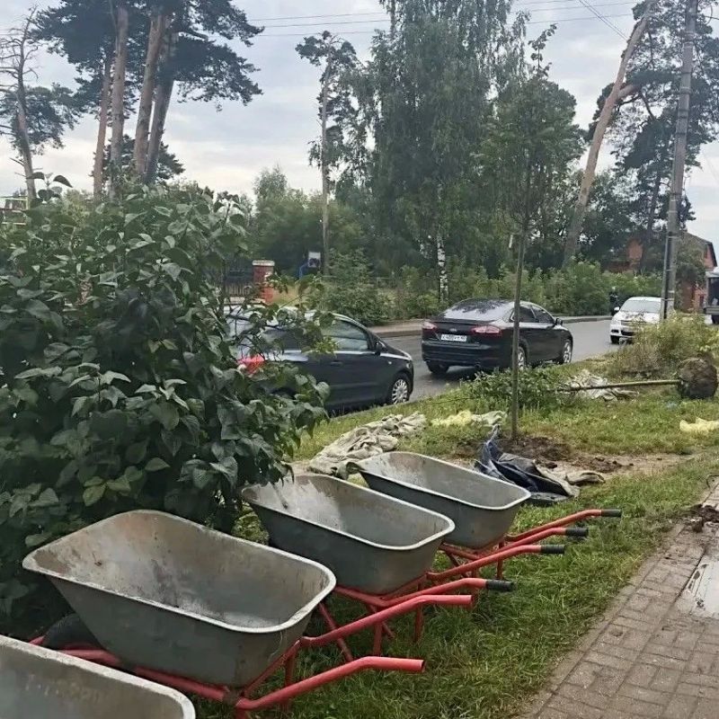 В Калуге продолжаются работы по озеленению В Калуге продолжаются работы по озеленению