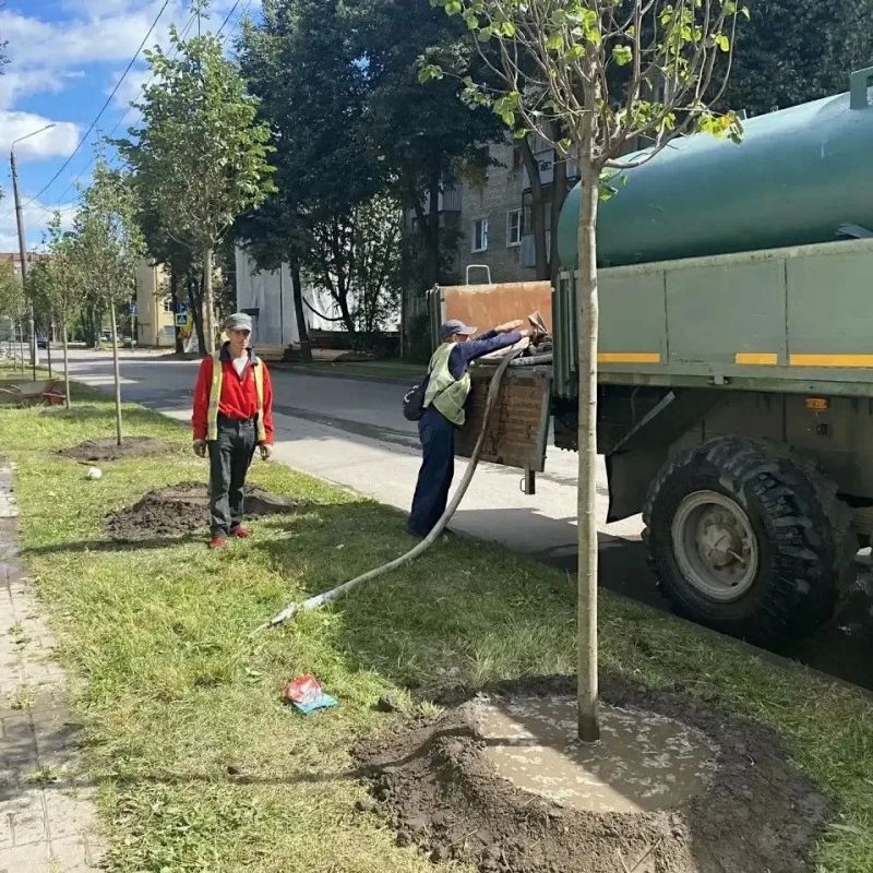 В Калуге продолжаются работы по озеленению В Калуге продолжаются работы по озеленению