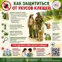Летом многие из нас выезжают на природу, ходят в лес за ягодами и грибами, но именно в этот период есть неиллюзорная вероятность получить укус клеща