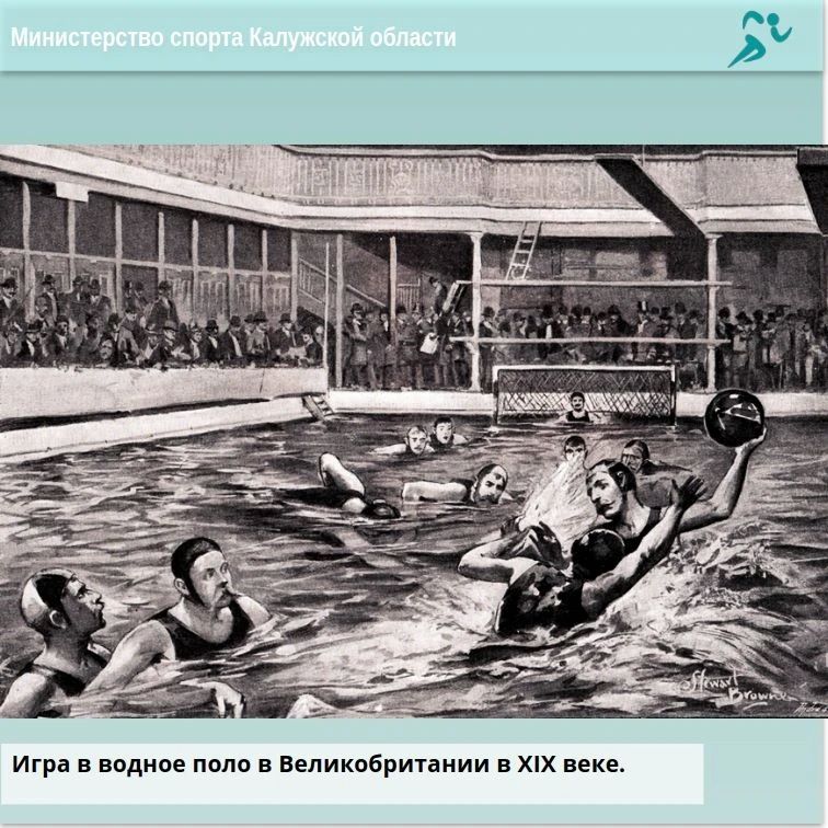Как водное поло стало одним из популярнейших видов спорта? Как водное поло стало одним из популярнейших видов спорта?