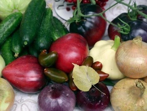 Дары сада и огорода представили калужане