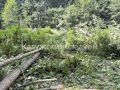 В Людиновском районе завели уголовное дело после гибели электромонтёра