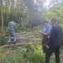 В Людиновском районе погиб электромонтёр — на него упало спиленное дерево