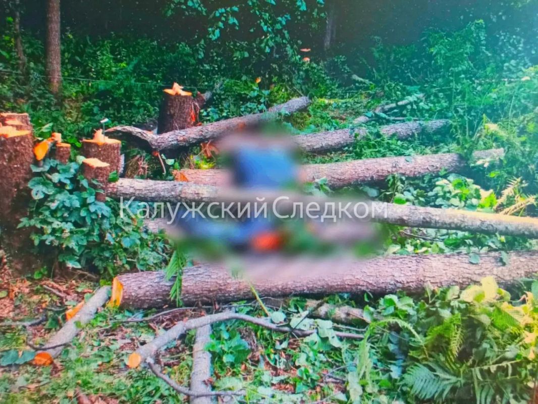 В Людиновском округе погиб электромонтер, очищая ЛЭП от деревьев В Людиновском округе погиб электромонтер, очищая ЛЭП от деревьев