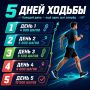 +100% � ����� �������!. ���������� ����������� ���������� ����� ������ ���� � ��������� ��������� ����� ��� ����������