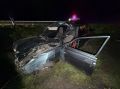 Под Калугой легковушка врезалась в лося и оказалась в кювете