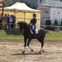 В честь Дня города в спортивной школе олимпийского резерва прошли соревнования на кубок главы Калуги по конному спорту