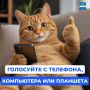 Осталось 13 дней до окончания подачи заявления на дистанционное голосование