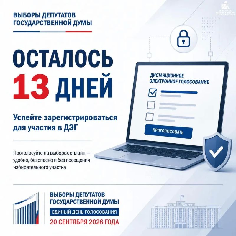 Осталось 13 дней, чтобы успеть подать заявление на дистанционное электронное голосование (ДЭГ)
