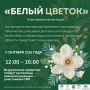 Благотворительная акция «Белый цветок»