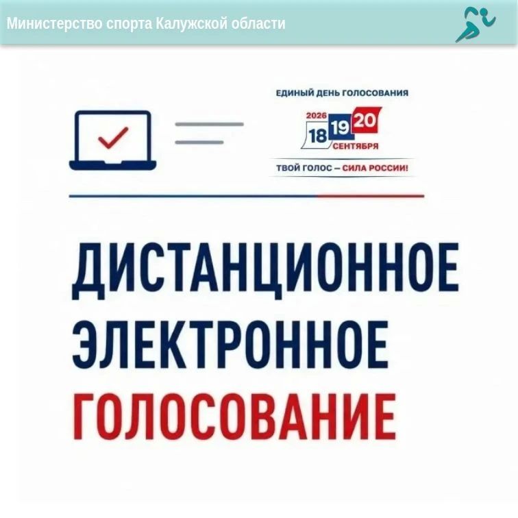 Голосовать электронно — просто с помощью ДЭГ!