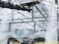 Тепличный комплекс для восстановления лесов строят в Калужской области