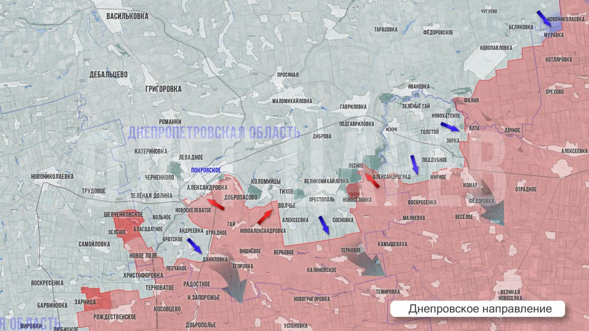 Олег Царёв: Фронтовая сводка 3 сентября Олег Царёв: Фронтовая сводка 3 сентября