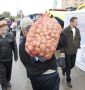 В Калужской области подешевели картошка и капуста
