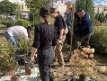 Гортензии и спиреи высадили у калужского ТЮЗа