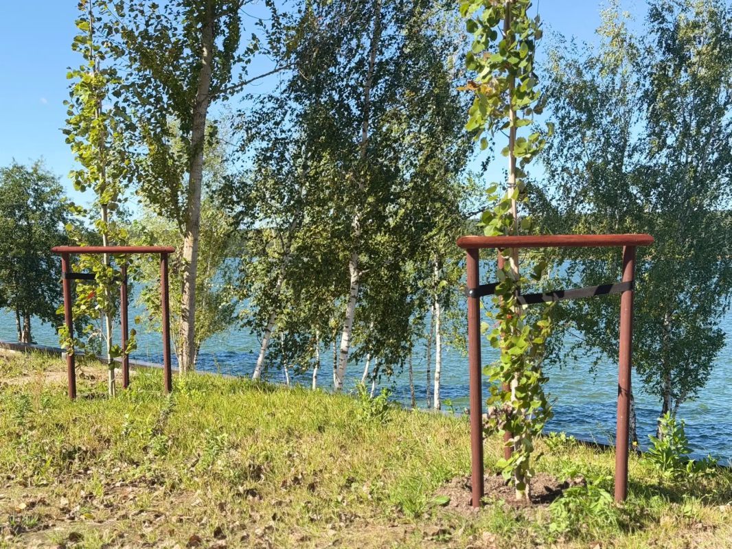 Дмитрий Денисов: Молодо – зелено!. Друзья! Наши недавние посадки уже прижились Дмитрий Денисов: Молодо – зелено!. Друзья! Наши недавние посадки уже прижились