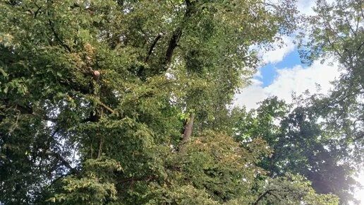 Четыре беспилотника сбили ночью в Калужской области