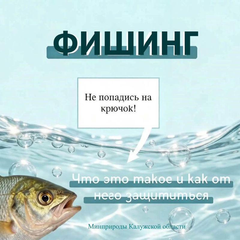 Не попадитесь на крючок: что такое фишинг и как от него защититься