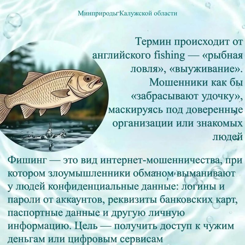 Не попадитесь на крючок: что такое фишинг и как от него защититься Не попадитесь на крючок: что такое фишинг и как от него защититься