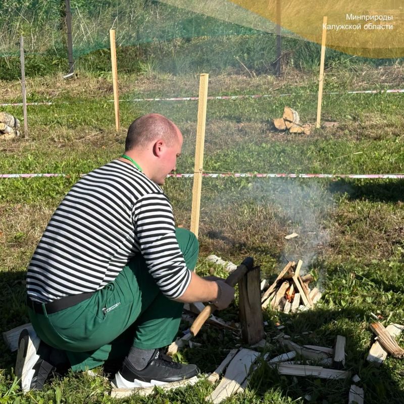 В Калужской области наградили лучших специалистов лесной отрасли В Калужской области наградили лучших специалистов лесной отрасли