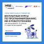 На Госуслугах открылась запись на курсы программирования для подростков «Код будущего»