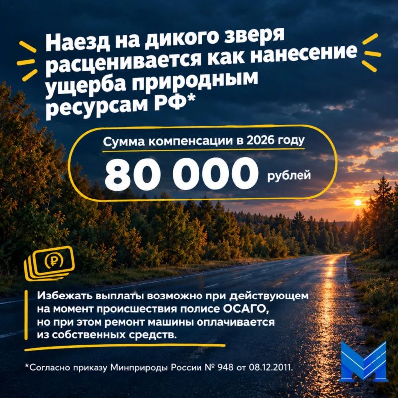 Внимание: на дорогах— лоси! Внимание: на дорогах— лоси!