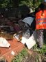 За неделю из Калуги вывезли более 1000 кубометров мусора
