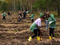 Волонтёры высадили 4 тысячи саженцев дуба в калужском нацпарке