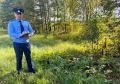 В Хвастовичском районе прокуратура заставила очистить дорогу от опасного борщевика