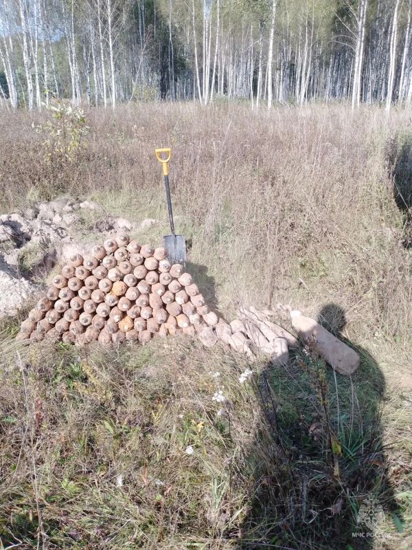 В Калужской области обнаружено более 100 боеприпасов