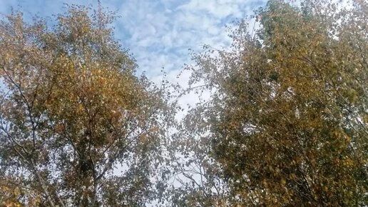 Не забываем куртки м капюшоны