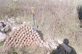 В Жиздринском районе саперы обезвредили 106 взрывоопасных предметов времен Великой Отечественной войны