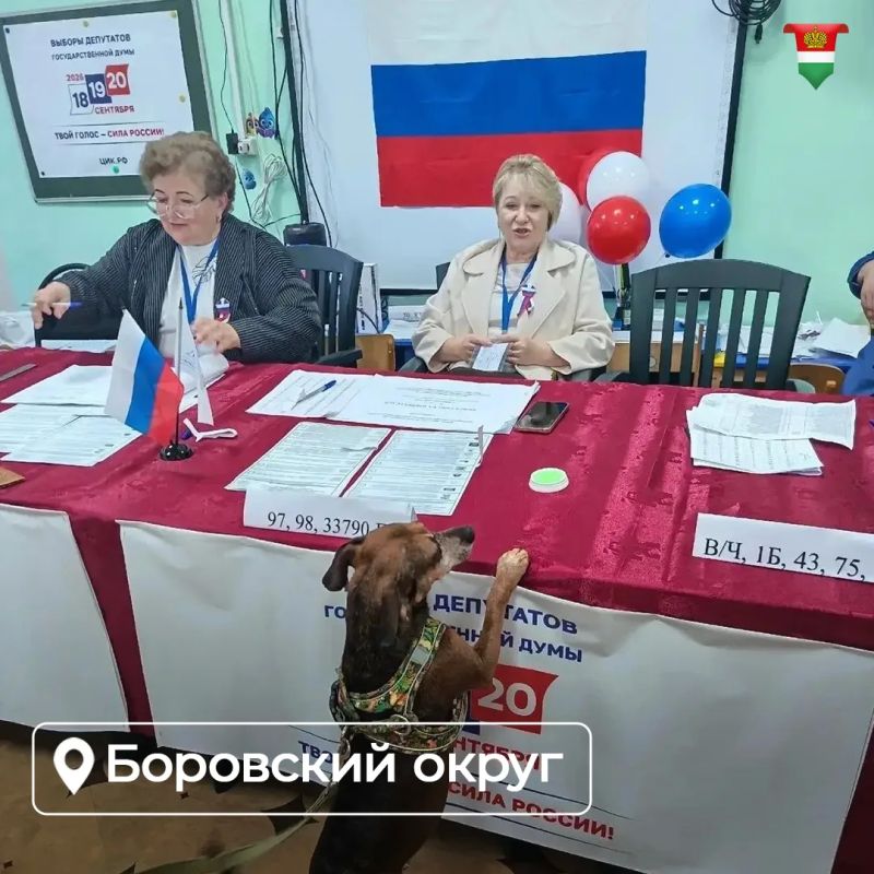 Второй день выборов в Государственную Думу подошёл к концу Второй день выборов в Государственную Думу подошёл к концу