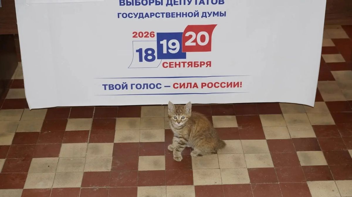 С какими еще питомцами приходили избиратели на участки в Калужской области? С какими еще питомцами приходили избиратели на участки в Калужской области?
