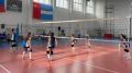 В Калуге пройдет межрегиональный турнир по волейболу