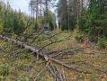 29 бригад энергетиков борются с последствиями непогоды в Калужской области