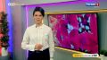 Утро России. Калуга (25.09.2026)