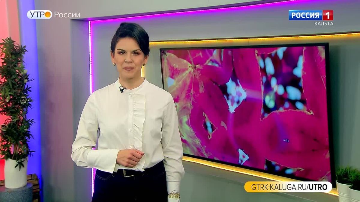Утро России. Калуга (25.09.2026)