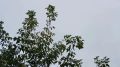 В Калужской области отменили беспилотную опасность