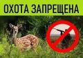 Охота приостановлена с 28.09.2026 по 10.10.2026 (включительно)