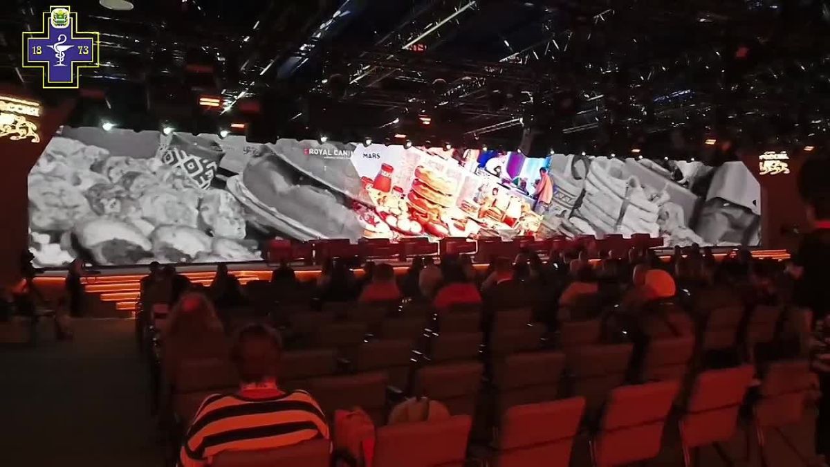 Сегодня в Москве состоялся Второй Всероссийский форум ответственного отношения к животным, организованный Благотворительным фондом помощи бездомным животным «Ника»