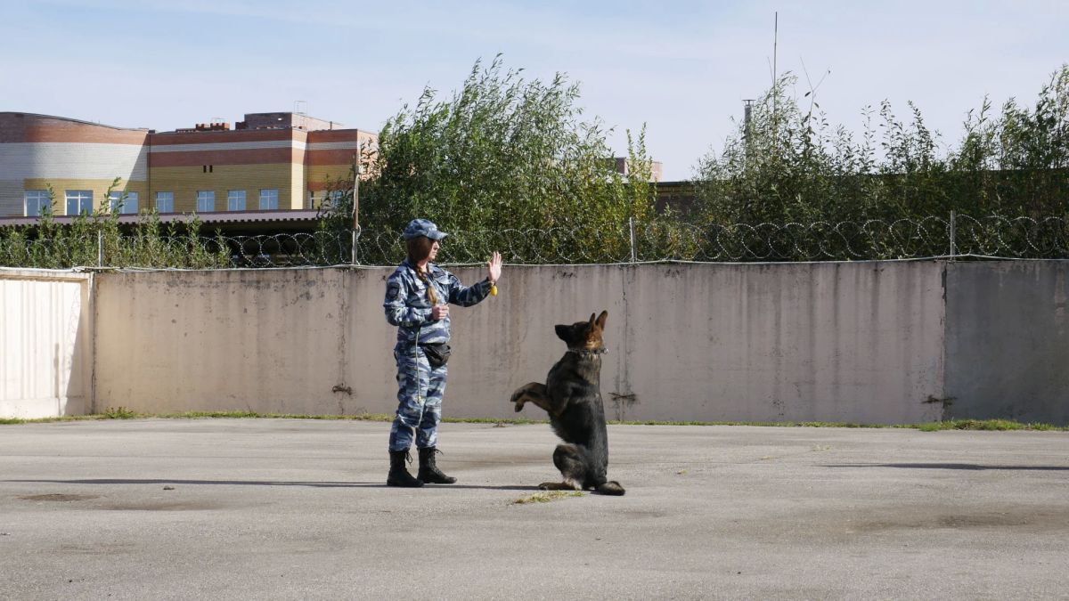 В Калужской области школьникам вручили паспорта РФ в Центре кинологической службы УМВД России В Калужской области школьникам вручили паспорта РФ в Центре кинологической службы УМВД России